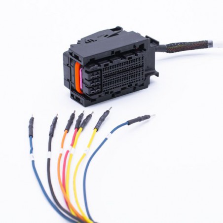 FLX2.15 Connection Cable: FLEXBox to Marelli MM10J