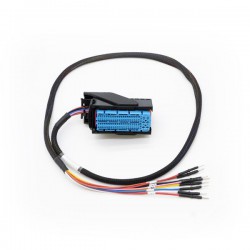 FLX2.42 Connection Cable:...